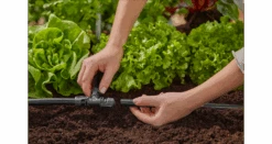 Gardena T-Joint 13 Mm (1/2") -Landscaping 13201 20 3