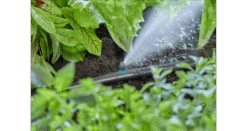 Gardena Endline Micro Strip Sprinkler 13318-20 -Landscaping 13318 20 4