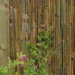 The Good Life Bamboo Cane Screen 2m X 4m