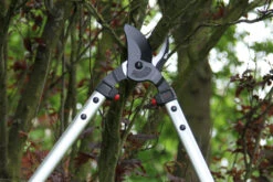 ARS LP40 Bypass Lopper -Landscaping ARSLP 40 g6 gallery large 76443.1707092320