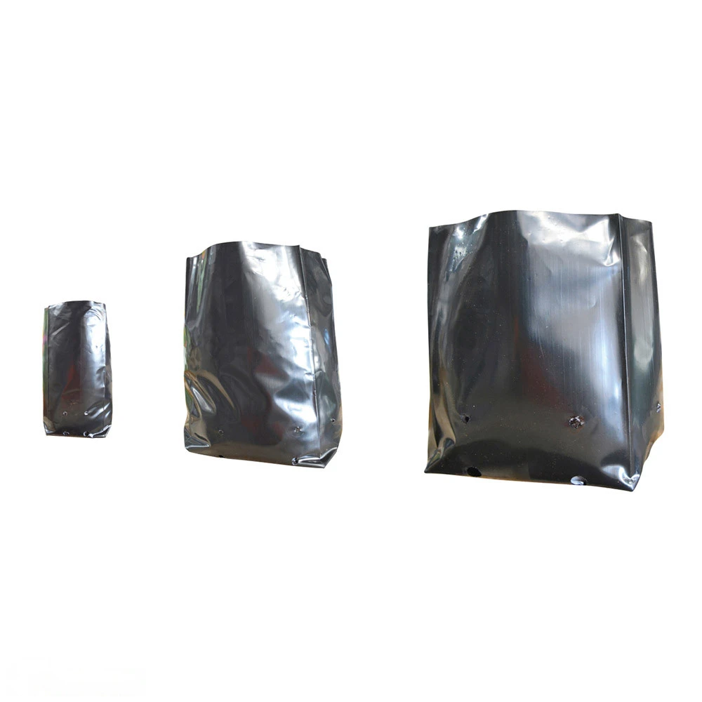 Polythene Plant Bag 80mmØ 3 Polythene Plant Bag 80mmØ