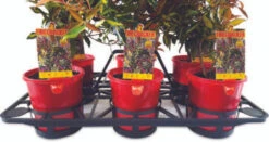 Efficiency Shuttle Tray For 140mmØ Pots - 6 Cell 7 Efficiency Shuttle Tray For 140mmØ Pots - 6 Cell -Landscaping Efficiency Shuttle Tray for 140mm Pots 6 Cell 1 81935.1686784947