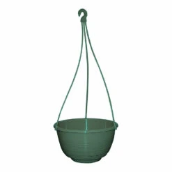 Grecian Hanging Basket Complete -Landscaping Grecian Hanging Basket Complete 250mm Jade Green 44516.1649645106