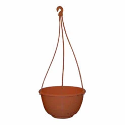 Grecian Hanging Basket Complete -Landscaping Grecian Hanging Basket Complete 250mm Rustic 11913.1649645107