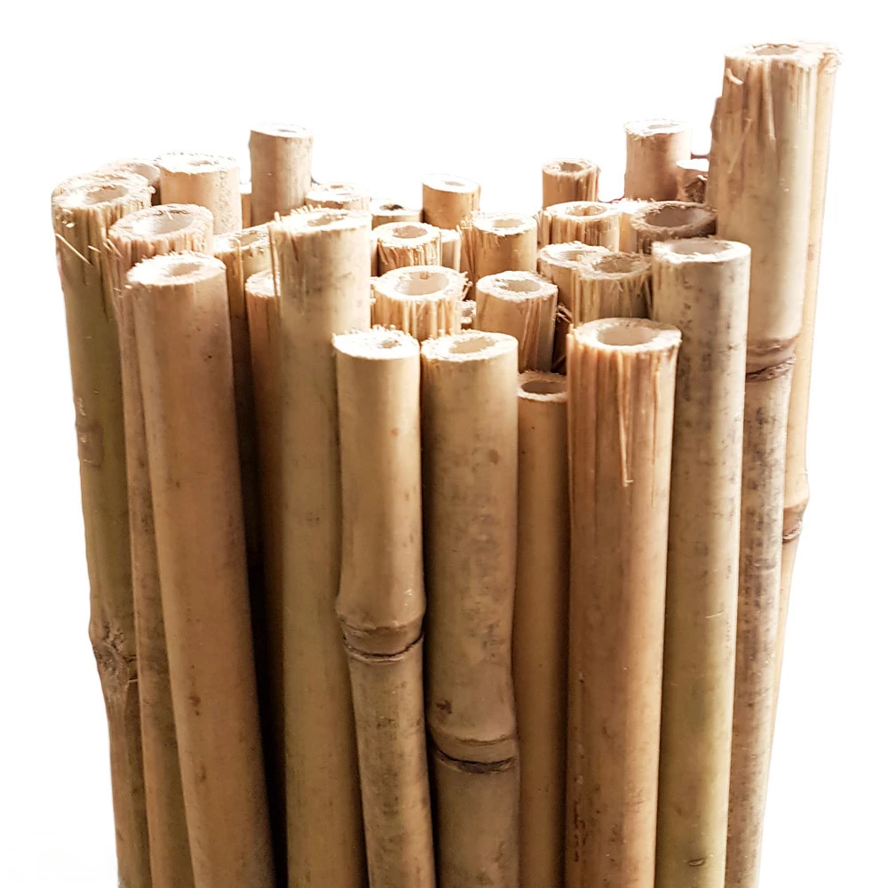 Bamboo Stakes 240cm 3 Bamboo Stakes 240cm