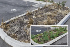 Weed Terminator & Soil Conditioner -Landscaping Open Spaces Before After 1 23656.1658712994