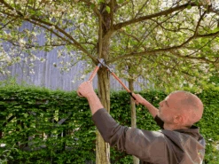 Bahco P16-60-F Professional 30mm Bypass Loppers With Steel Handle -Landscaping P16 60 F Professional 30mm Bypass Loppers with Steel Handle 4 14666.1707205330