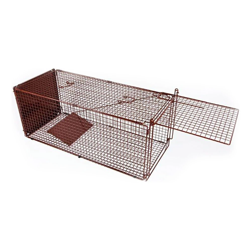 Trap Lightweight Powder-coated Wire For Feral Cat 3 Trap Lightweight Powder-coated Wire For Feral Cat