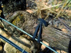 Agrifast Rubberties -Landscaping agrifast rubber tie hook 1 37663.1689228320