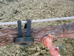 Agrifast Rubberties -Landscaping agrifast rubber tie hook 2 00096.1689228320