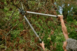 Bahco P173-SL-85 Professional 45mm Anvil Loppers With Lever Action And Aluminium Handle -Landscaping bahco p173 sl loppers 4 81463.1707202738