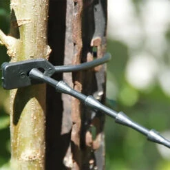Flexi Easi Tie Tree Tie -Landscaping easie tie in use 57264.1689227414