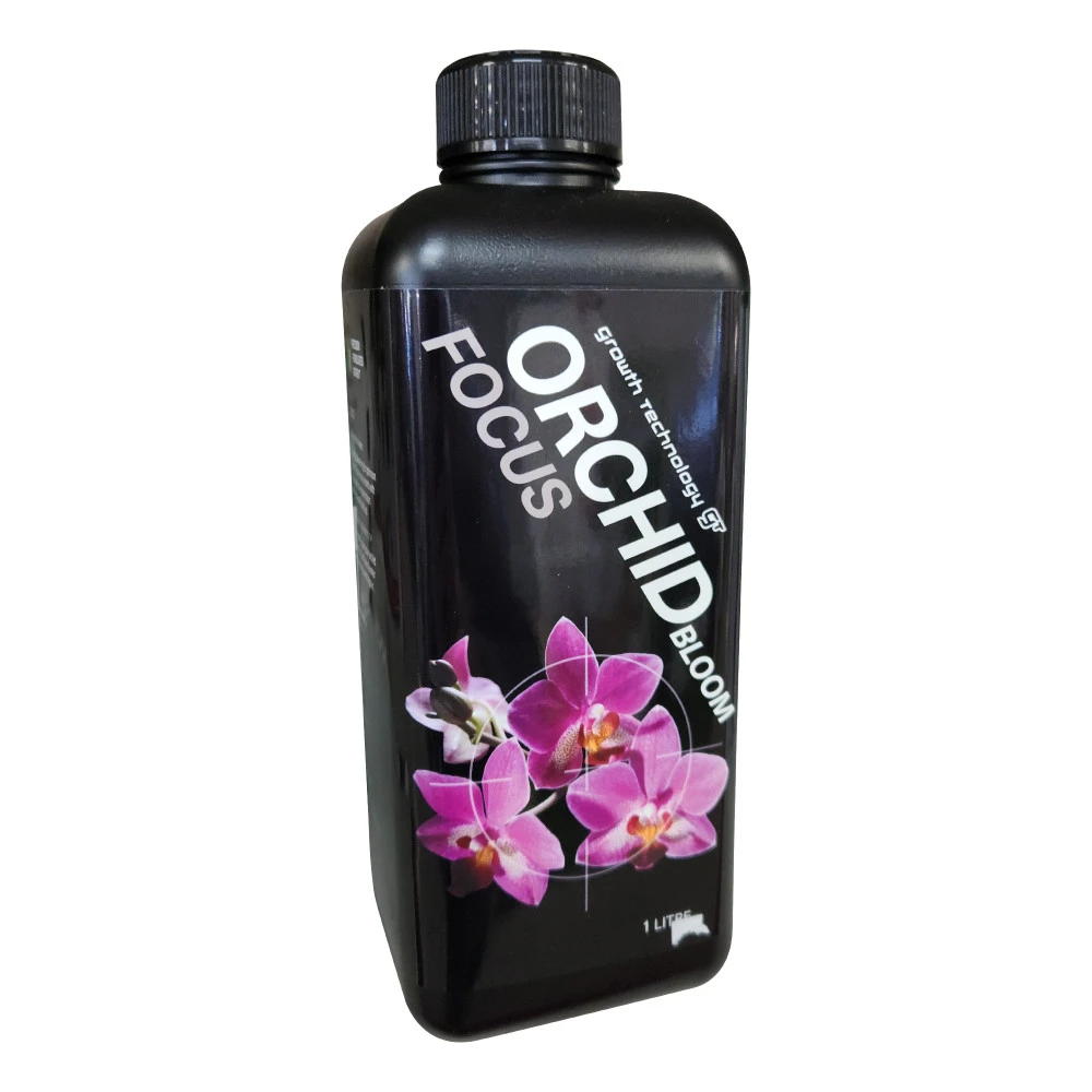 Orchid Focus Bloom 3 Orchid Focus Bloom