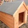 Dog Kennel - 3' X 2' -Landscaping img 1306