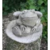 Border Stoneware Frog On Log -Landscaping new project 1021 00790.1665133539