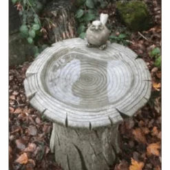 Border Stoneware Medium Woodland Bird Bath