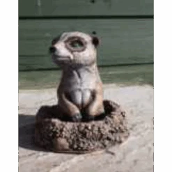 Border Stoneware Baby Meerkat