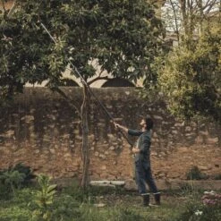 Fiskars PowerGear X Telescopic Tree Pruner UPX86 -Landscaping powergear x telescopic tree pruner upx86 1023624 ls2 productimage