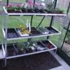 Halls 3-Tier Seed Tray Frame