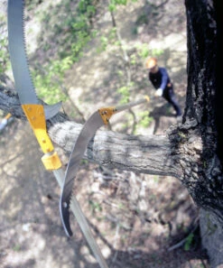 Silky Hayate Pole Saw Complete - Extendable -Landscaping silky hayate 3 56178.1684377373