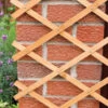 The Good Life Wooden Expandable Trellis 1.8m X 0.6m -Landscaping trellis wood expanding 1 1