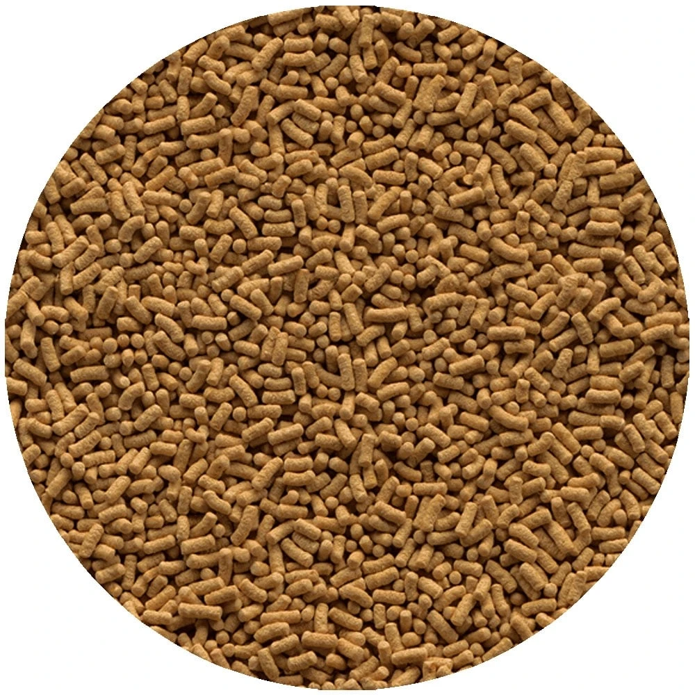 Tetra Pond Wheatgerm Sticks 4L 4 Tetra Pond Wheatgerm Sticks 4L - Image 2